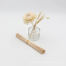100 pièces/paquet de bâtons de rotin pour diffuseur de plantes naturelles avec parfum